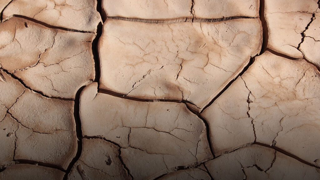Cómo hacer crecer pasto en tierra seca de manera efectiva 8 Cómo hacer crecer pasto en tierra seca de manera efectiva